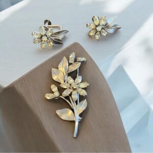 Vintage Brooch and Screwback earring set